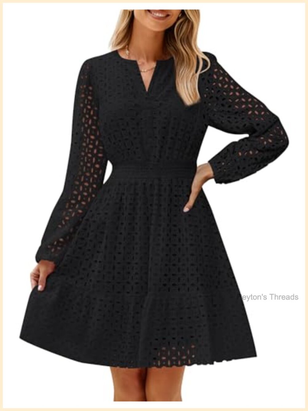 Long Sleeve Eyelet Embroidery Mini Dress V-Neck Puff Sleeve Ruffle